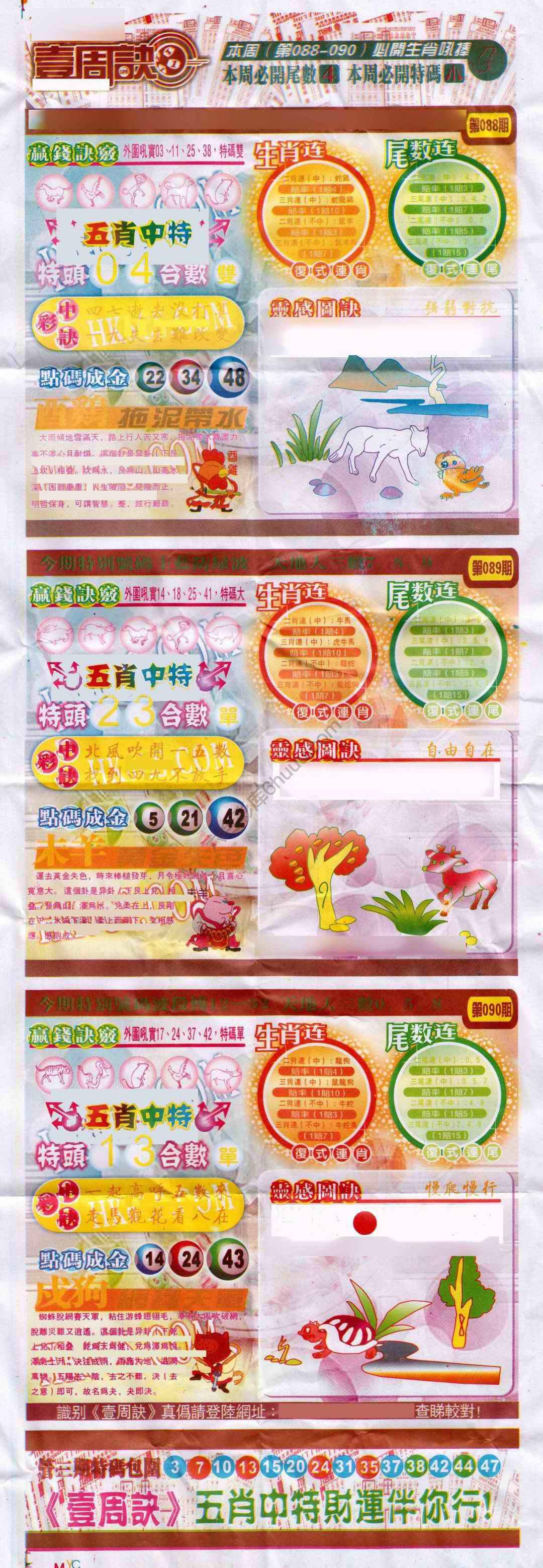一周决