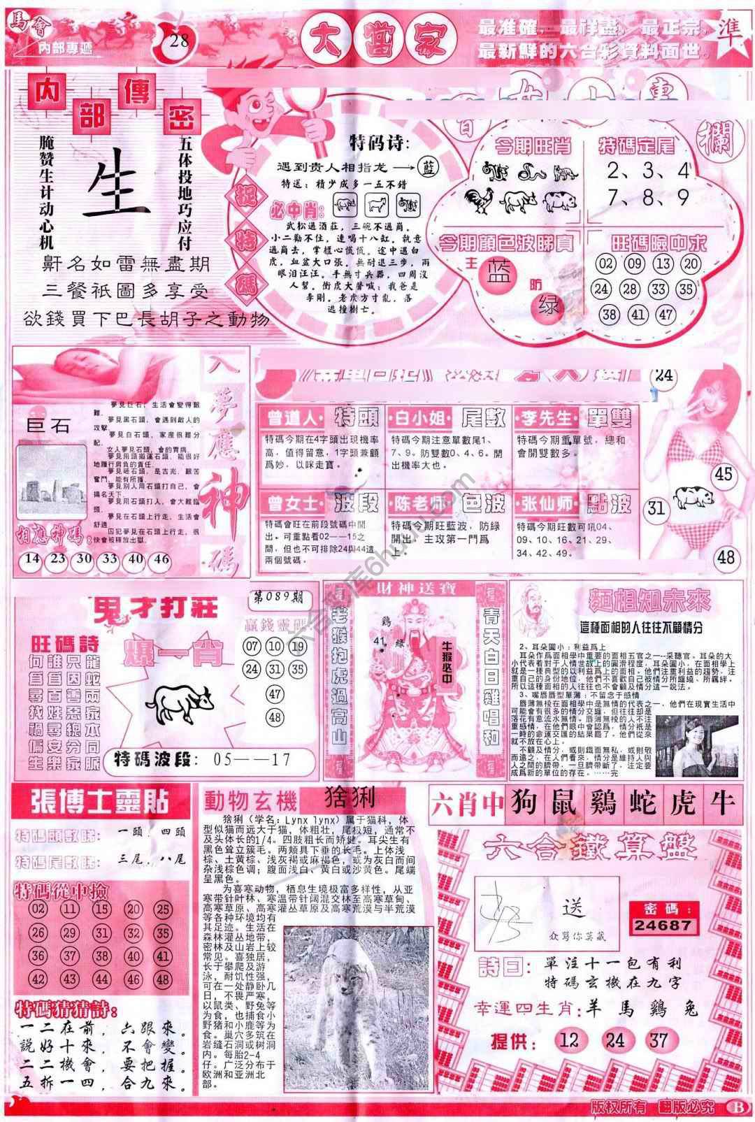 大当家
