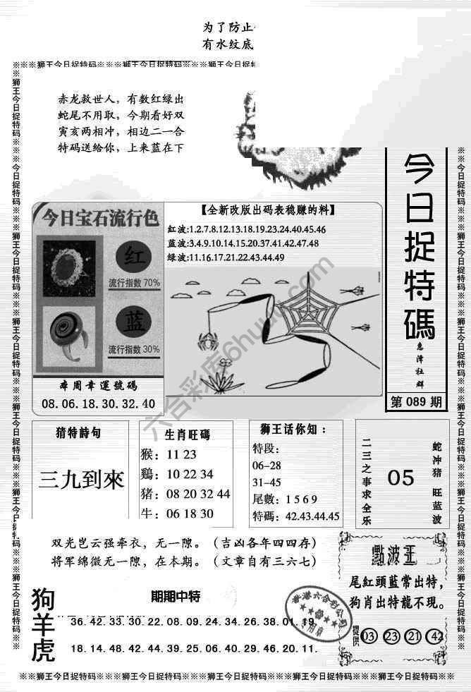 狮王今日抓特码
