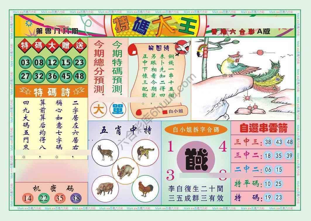 特码大王