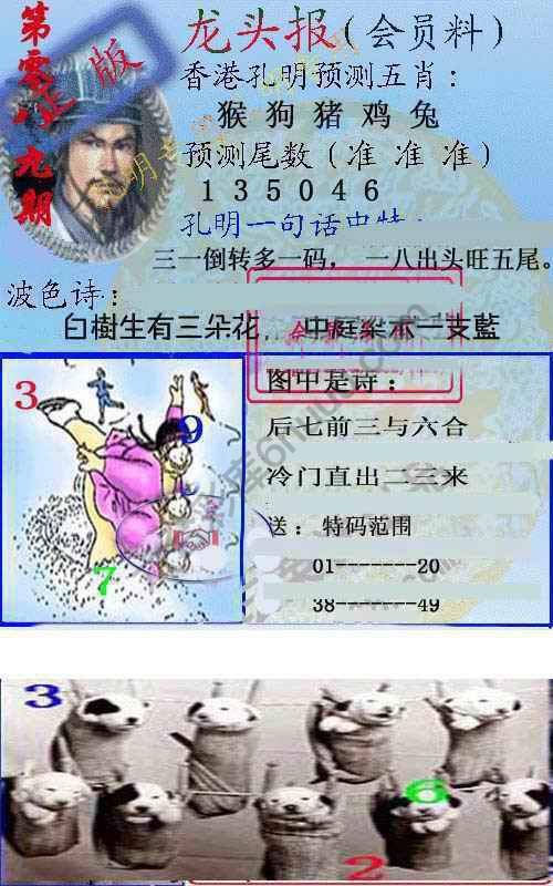 龙头报