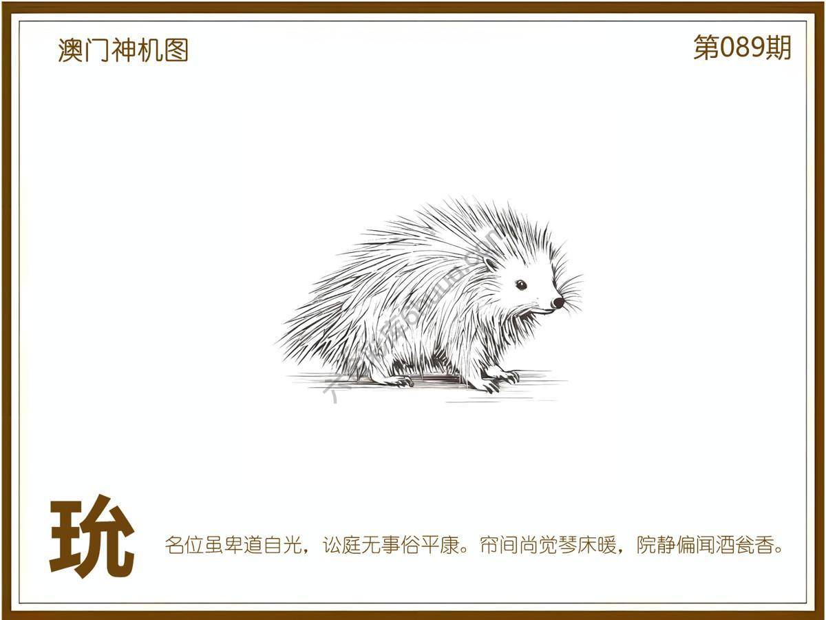 澳门神机图