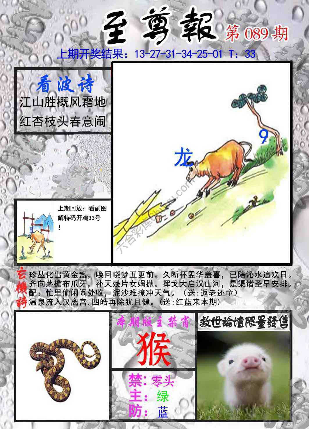 至尊报