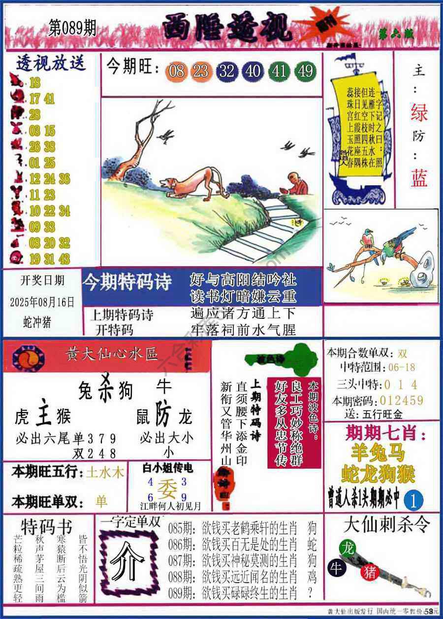 西陲透视（正版）