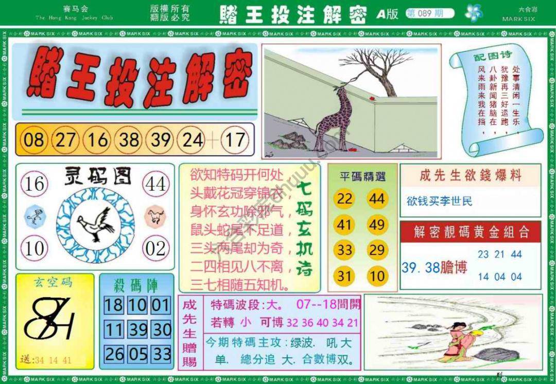 赌王投注解密