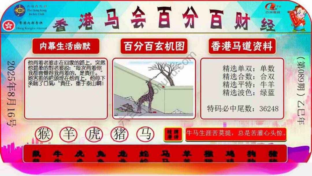 百分百财经