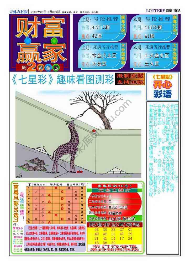 财富赢家