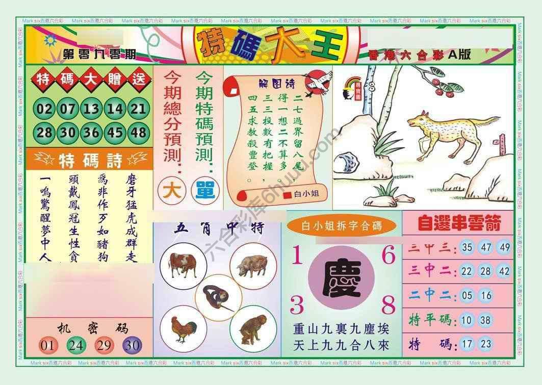 特码大王