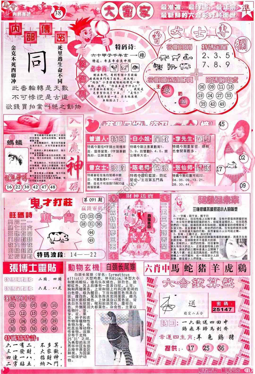 大当家