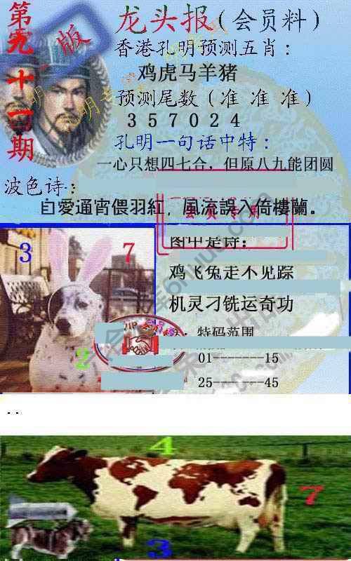 龙头报