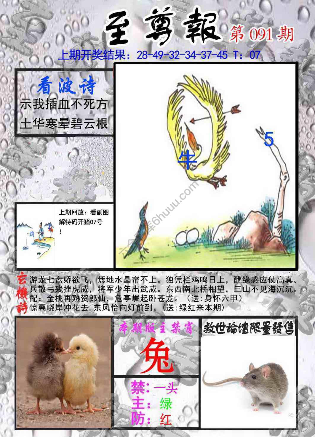 至尊报