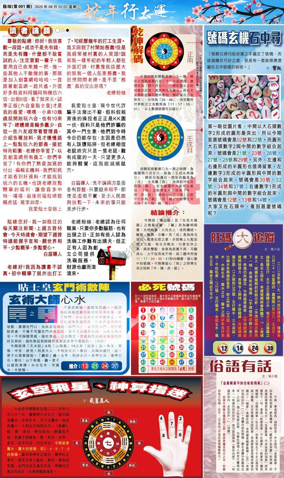 大版贴士皇