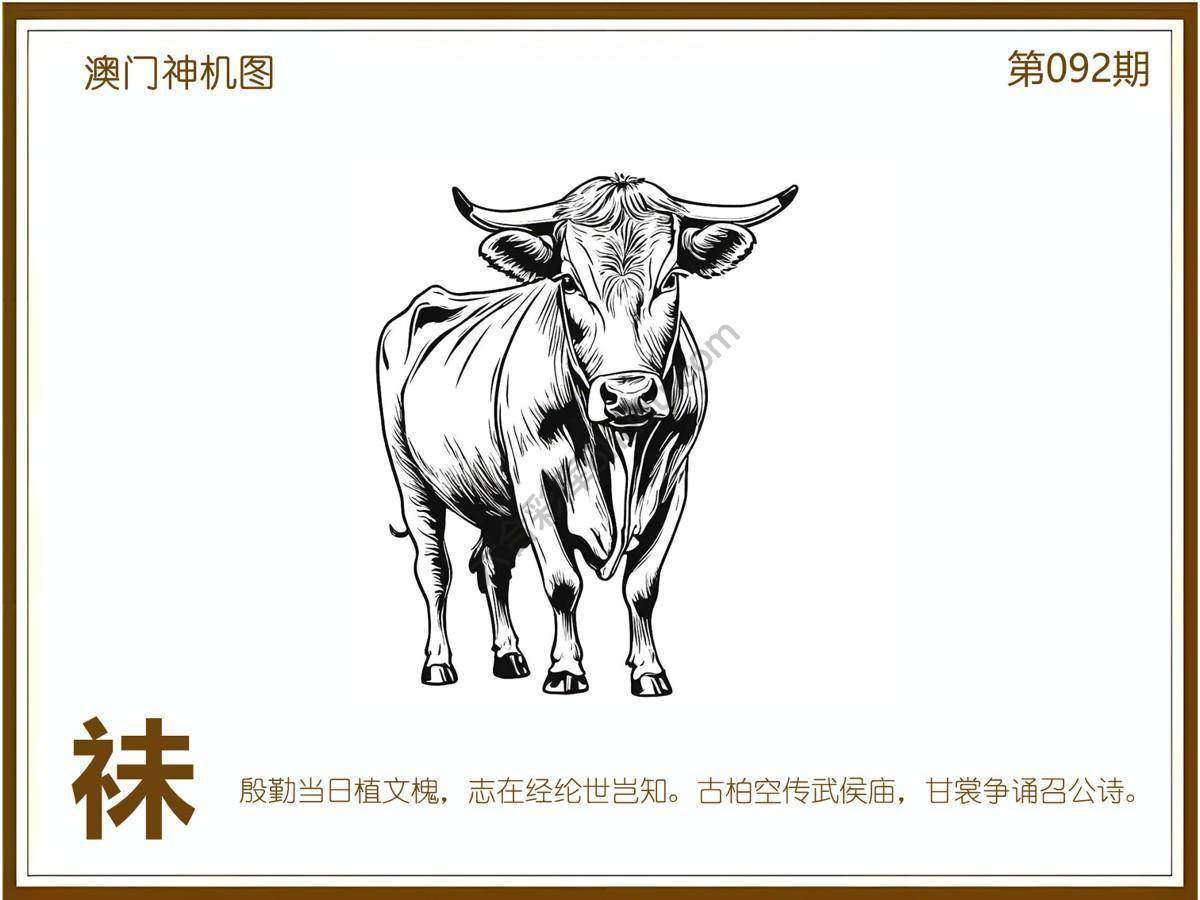 澳门神机图