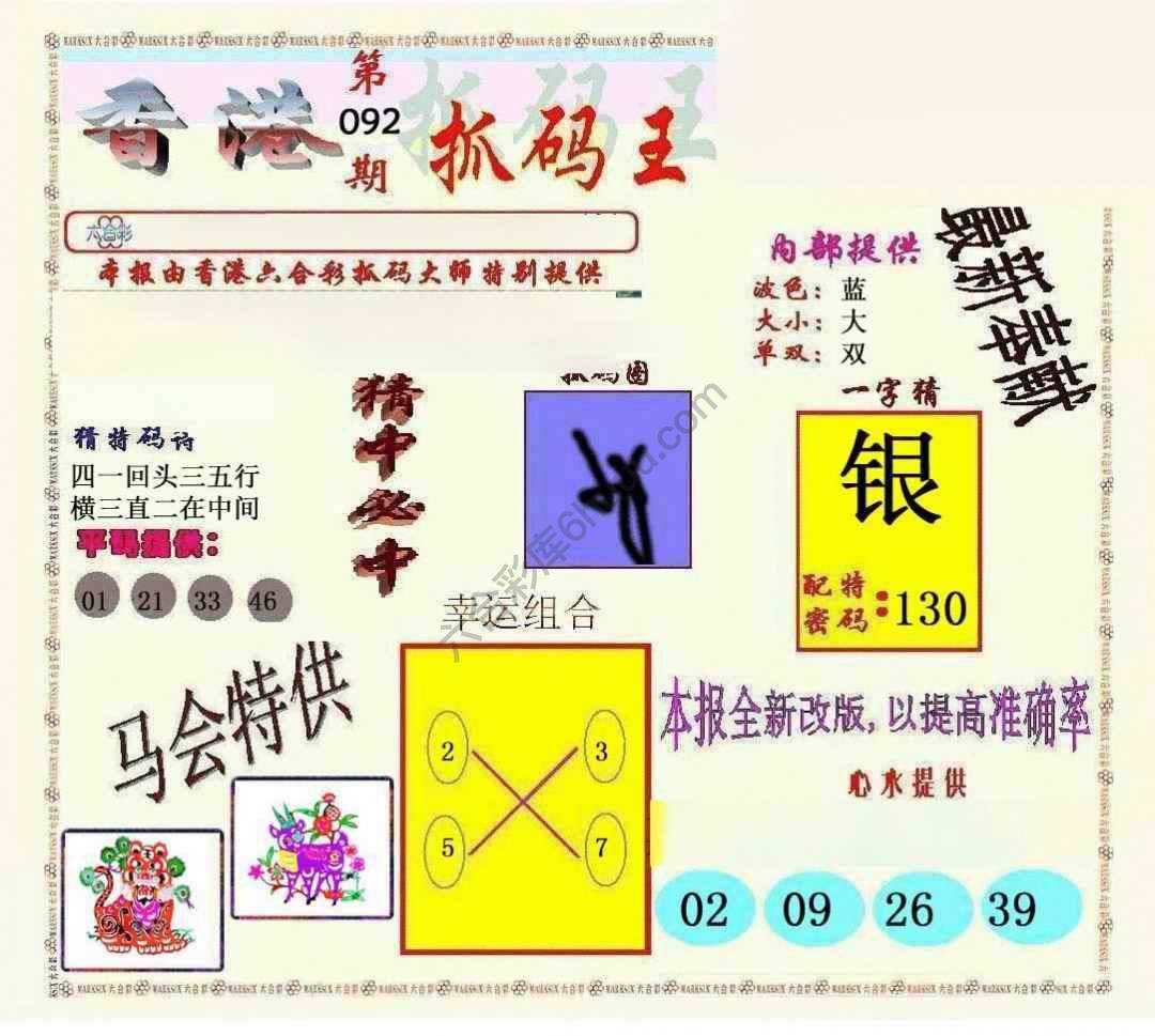 新抓码王