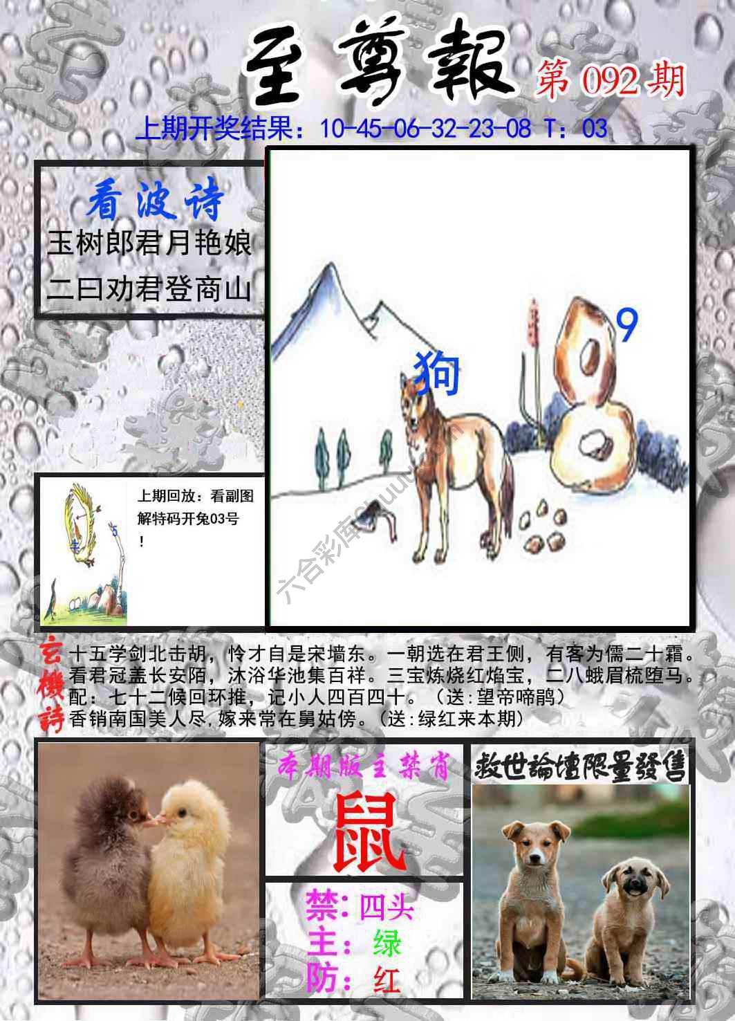 至尊报