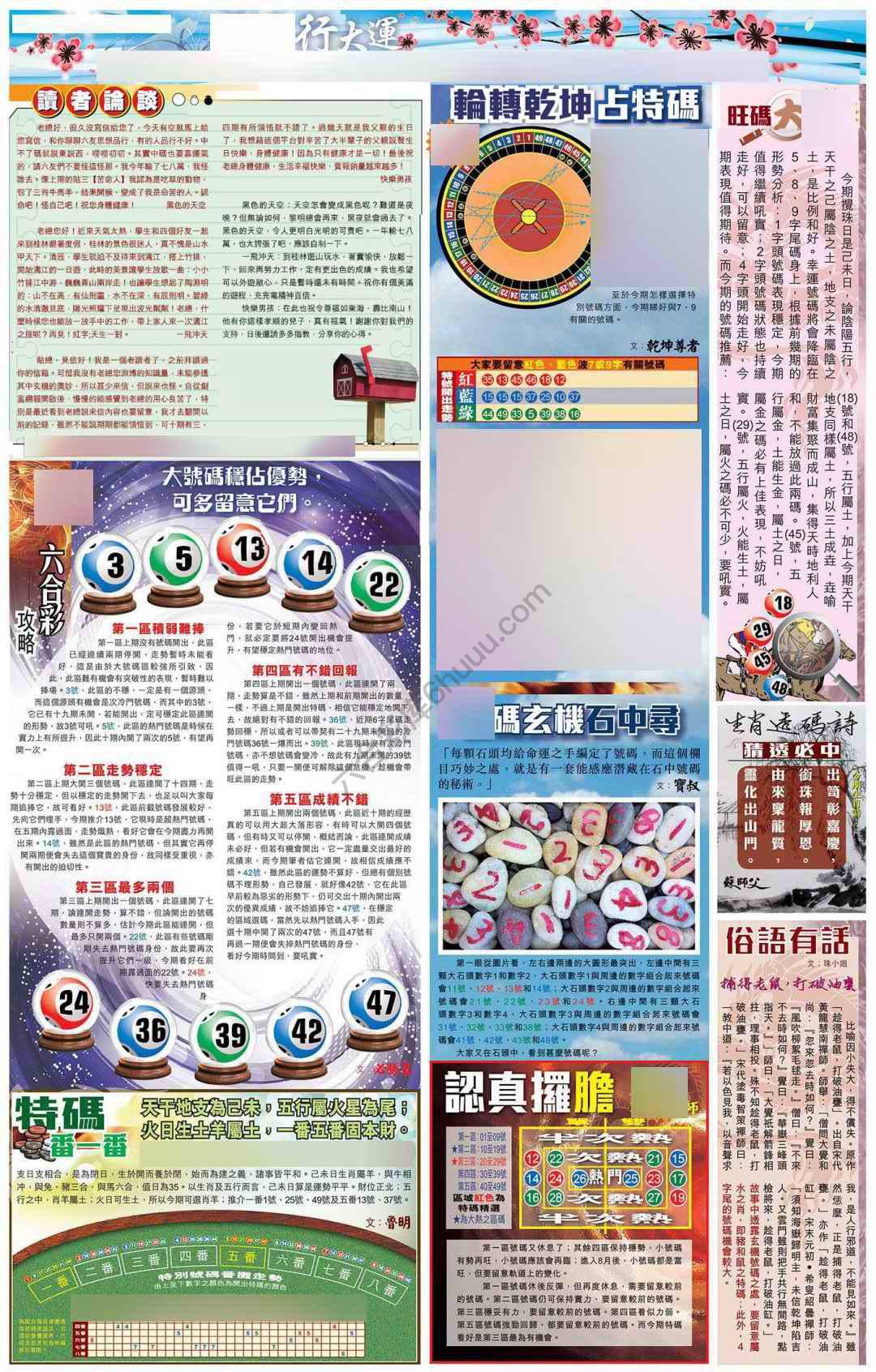 大版贴士皇