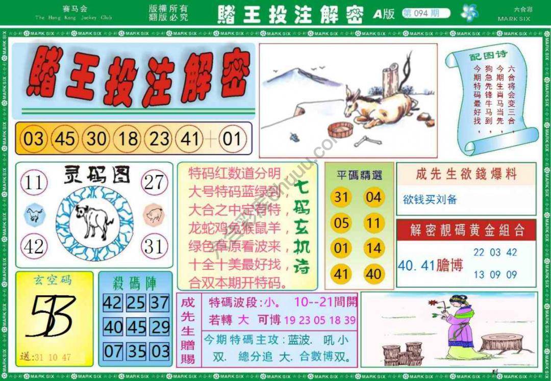 赌王投注解密