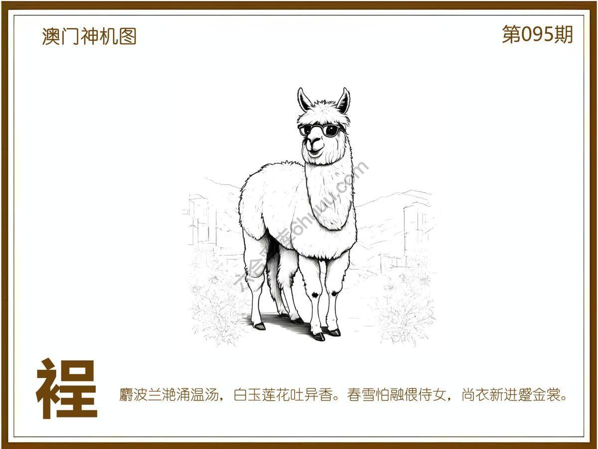 澳门神机图