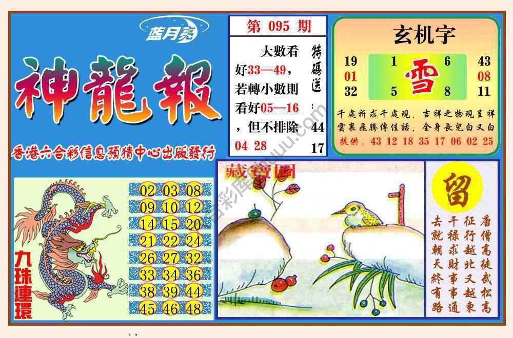 蓝月亮神龙报