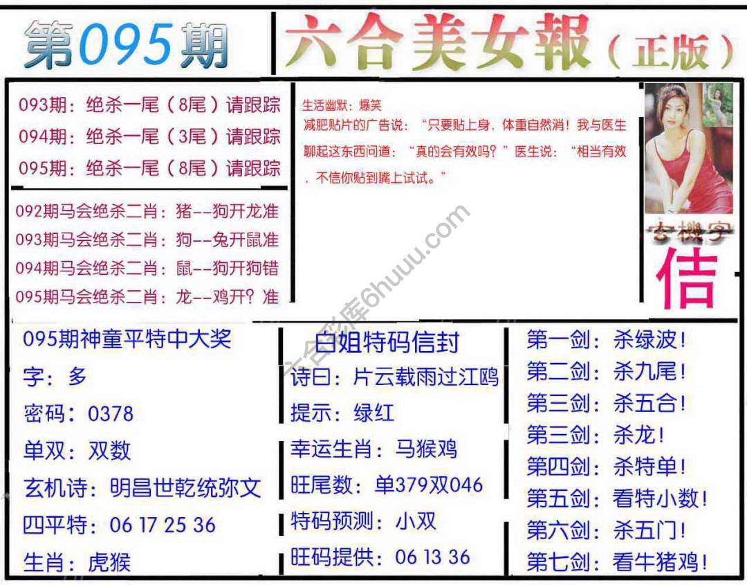 六合美女报