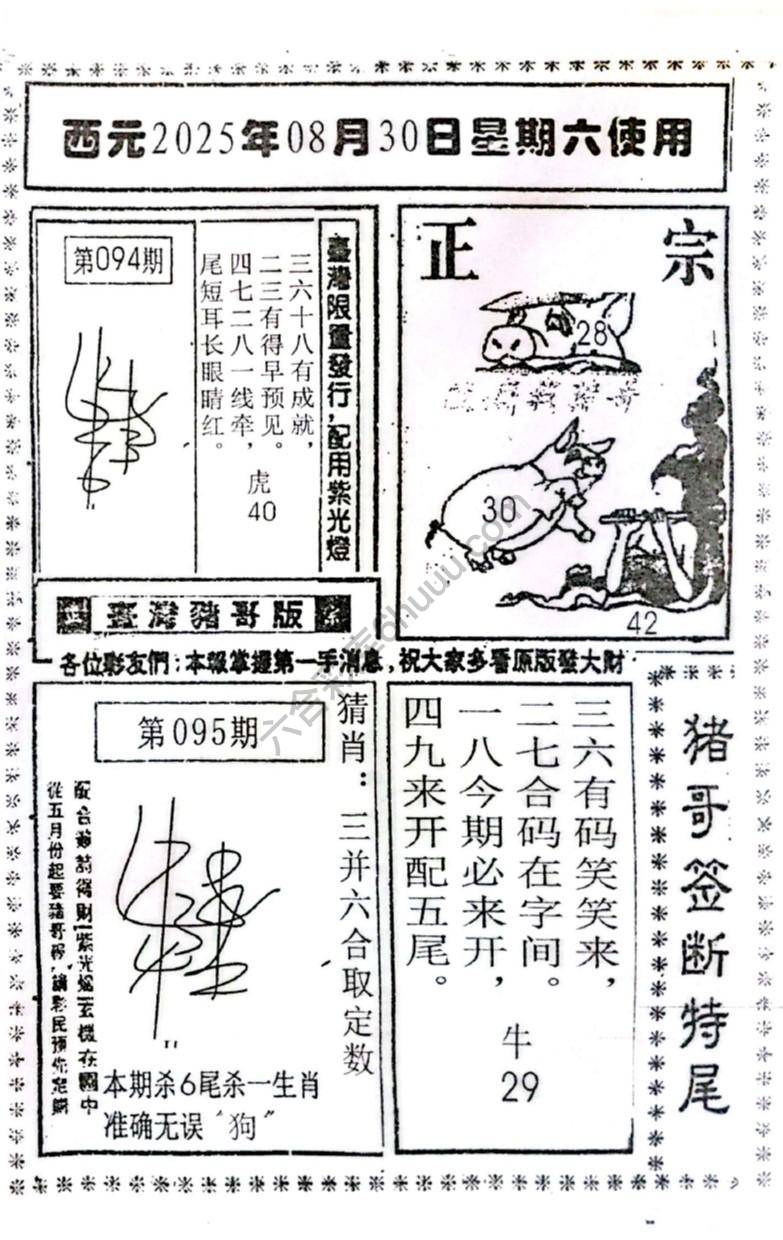 猪哥签断特尾