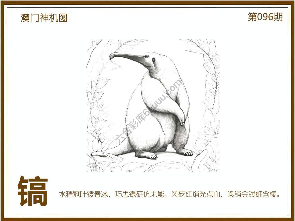 澳门神机图