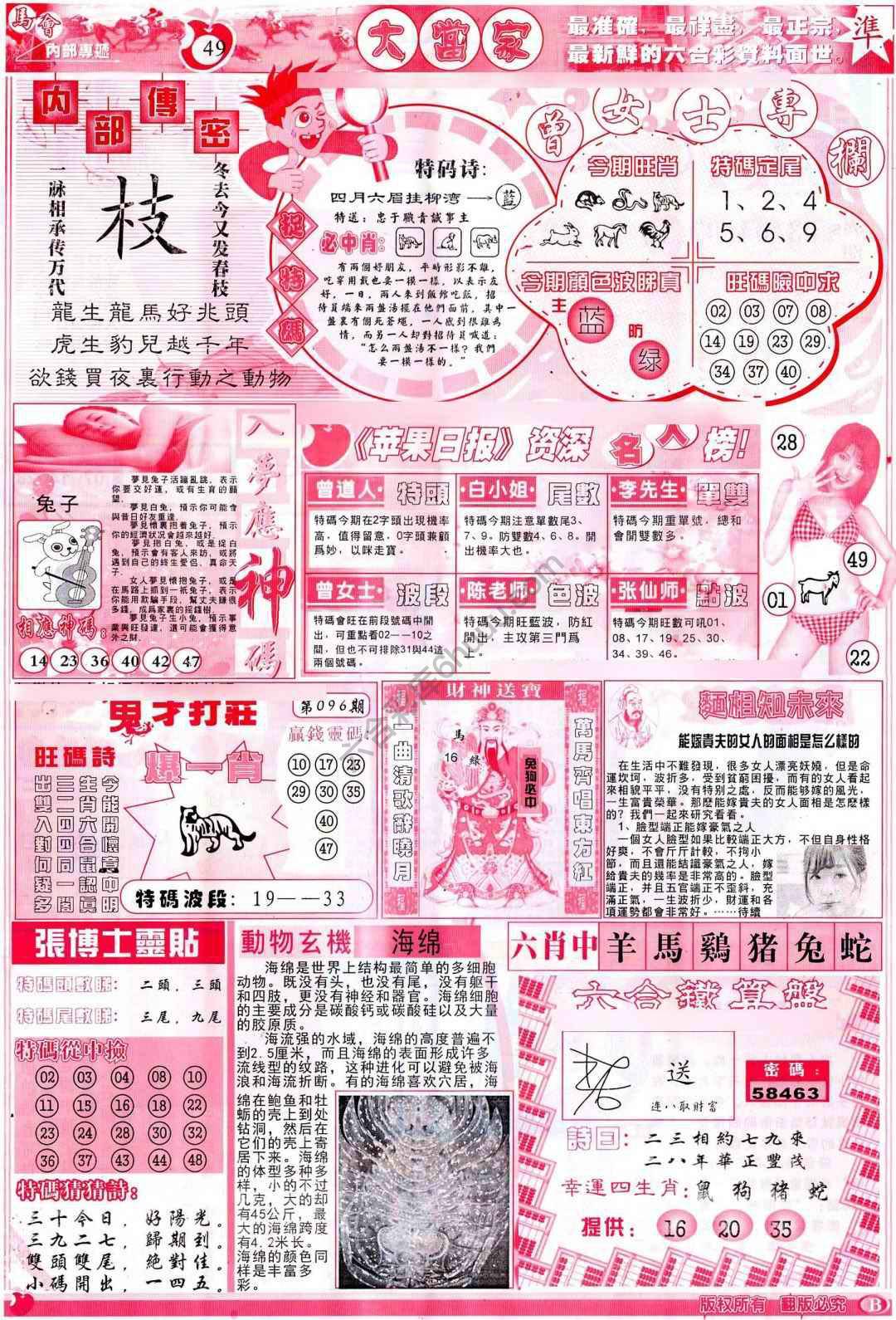 大当家