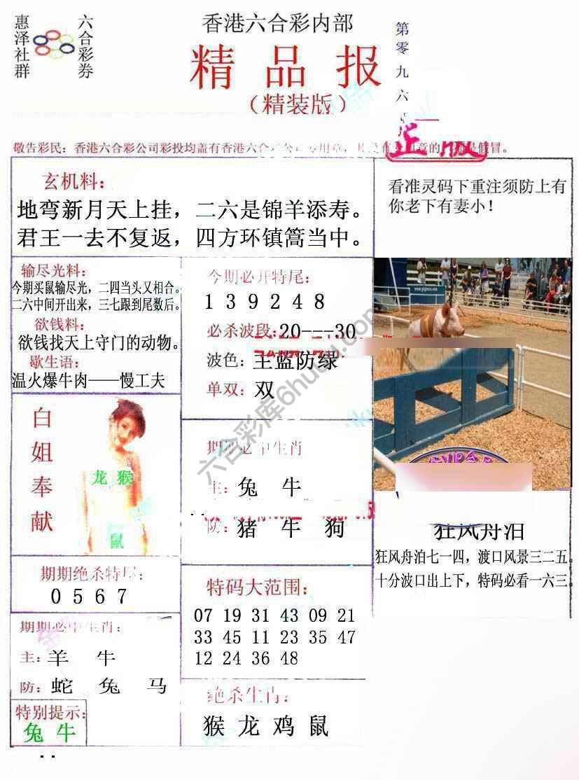 新精品报