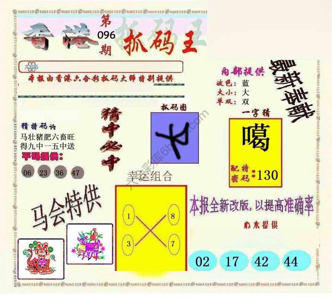 新抓码王