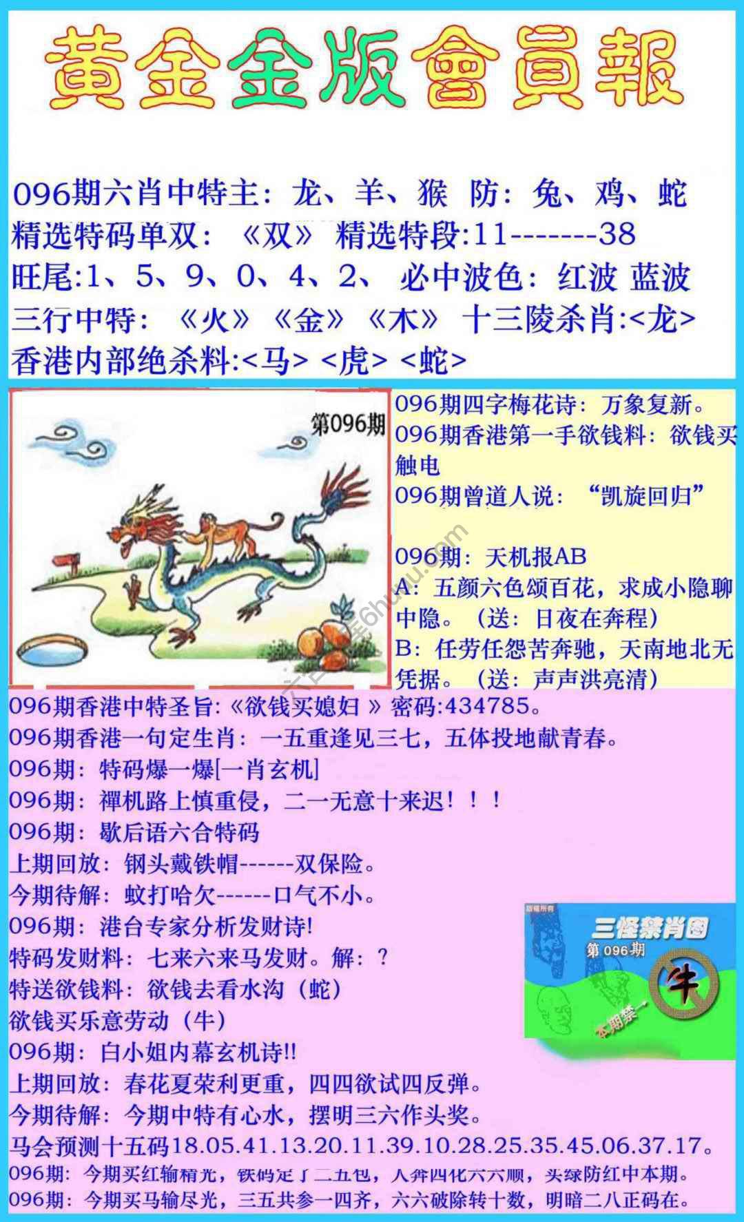 黄金金版会员报