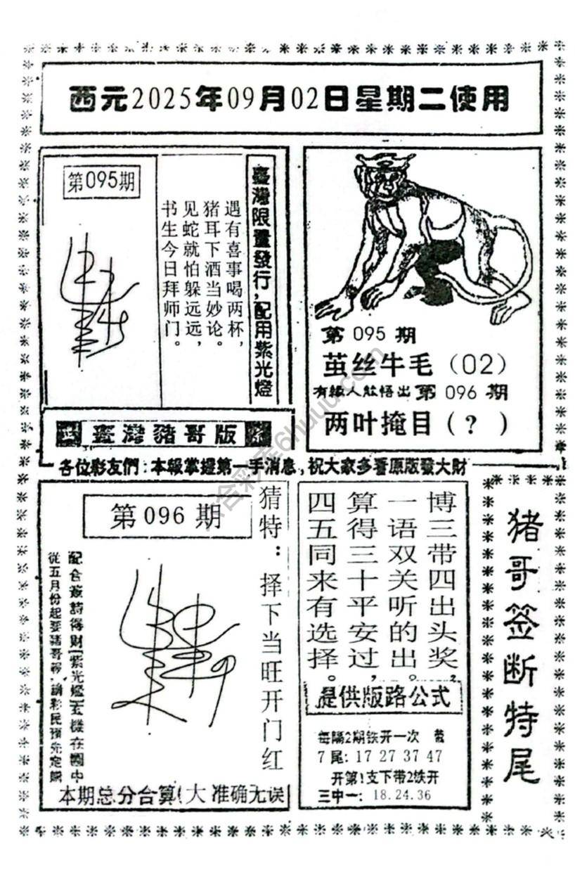 猪哥签断特尾