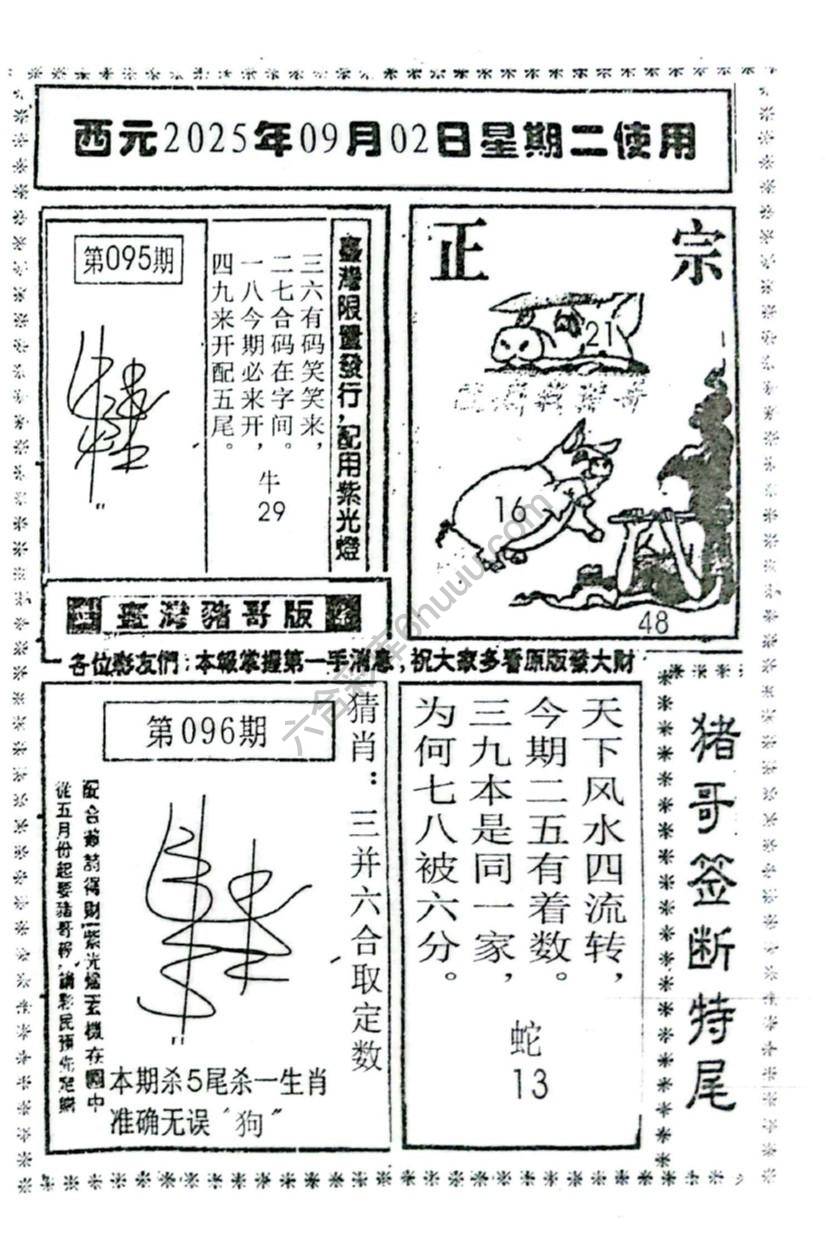 猪哥签断特尾