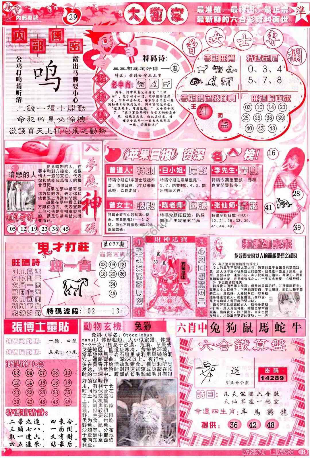 大当家
