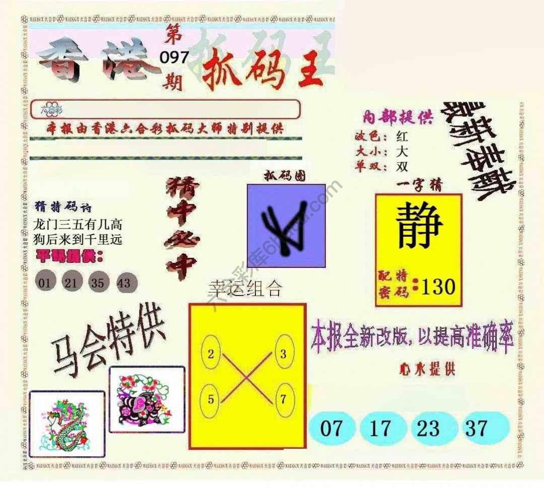 新抓码王