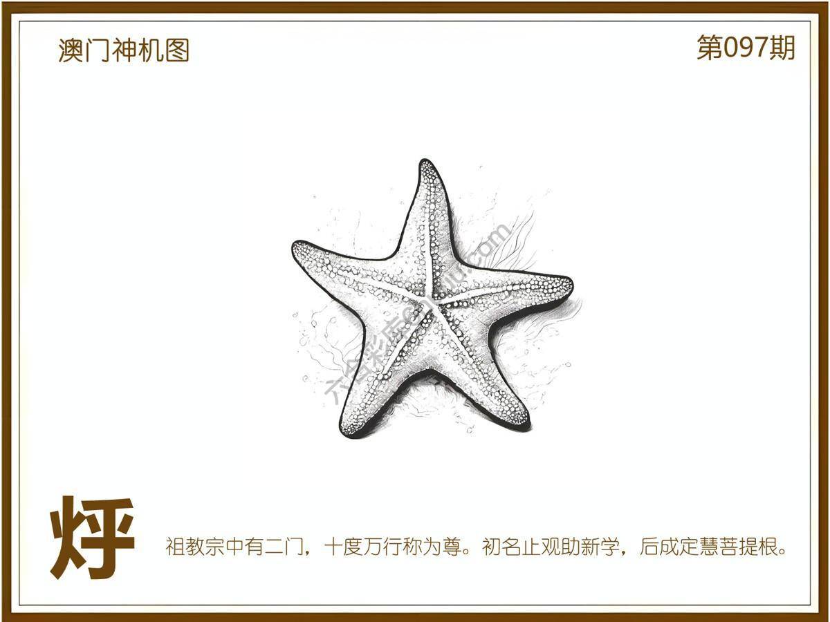澳门神机图