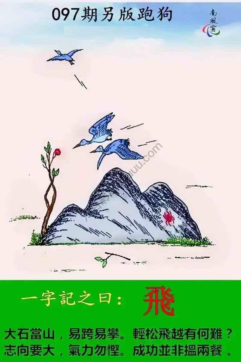 另版跑狗