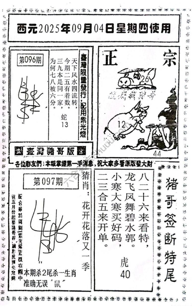 猪哥签断特尾