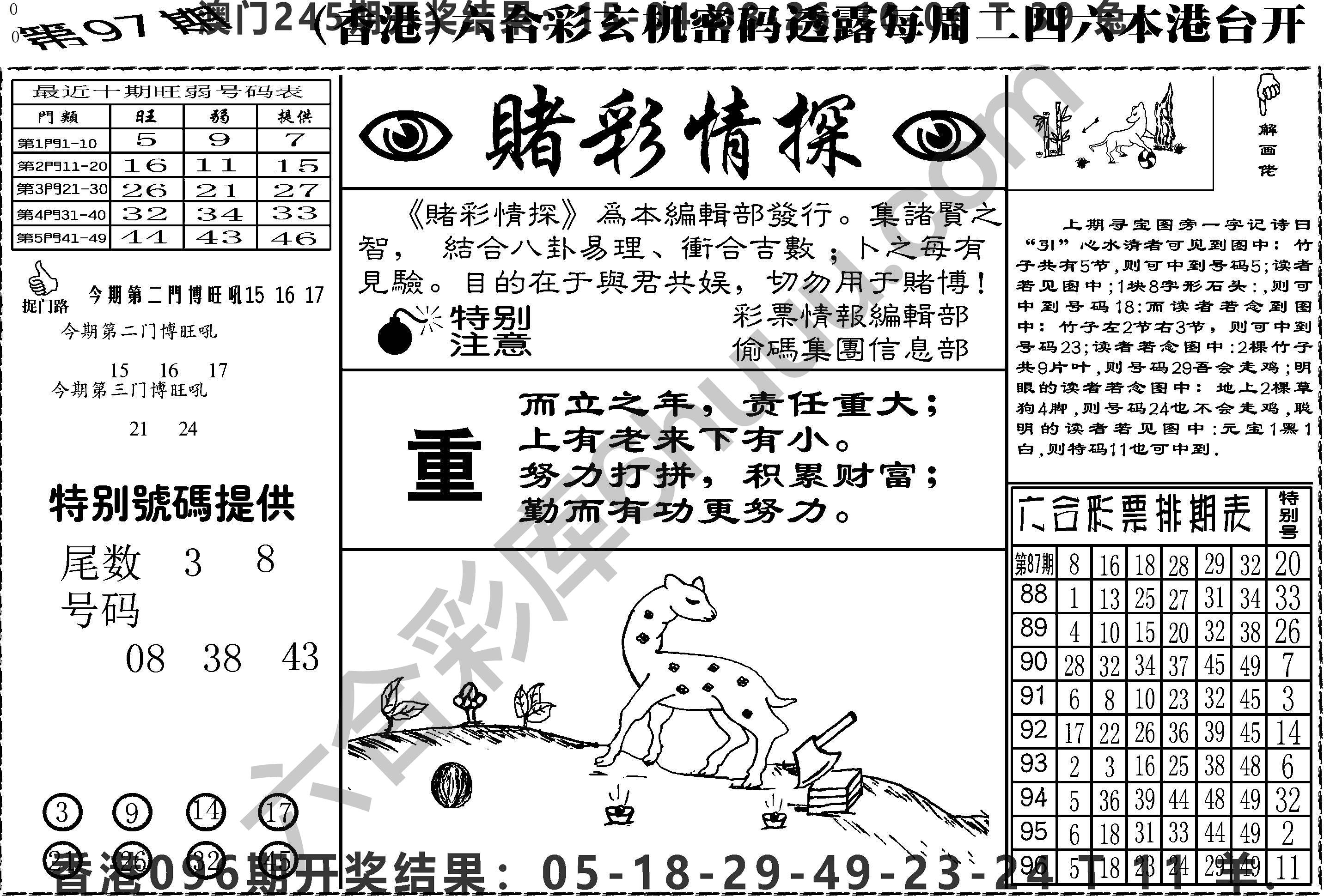 赌彩情探