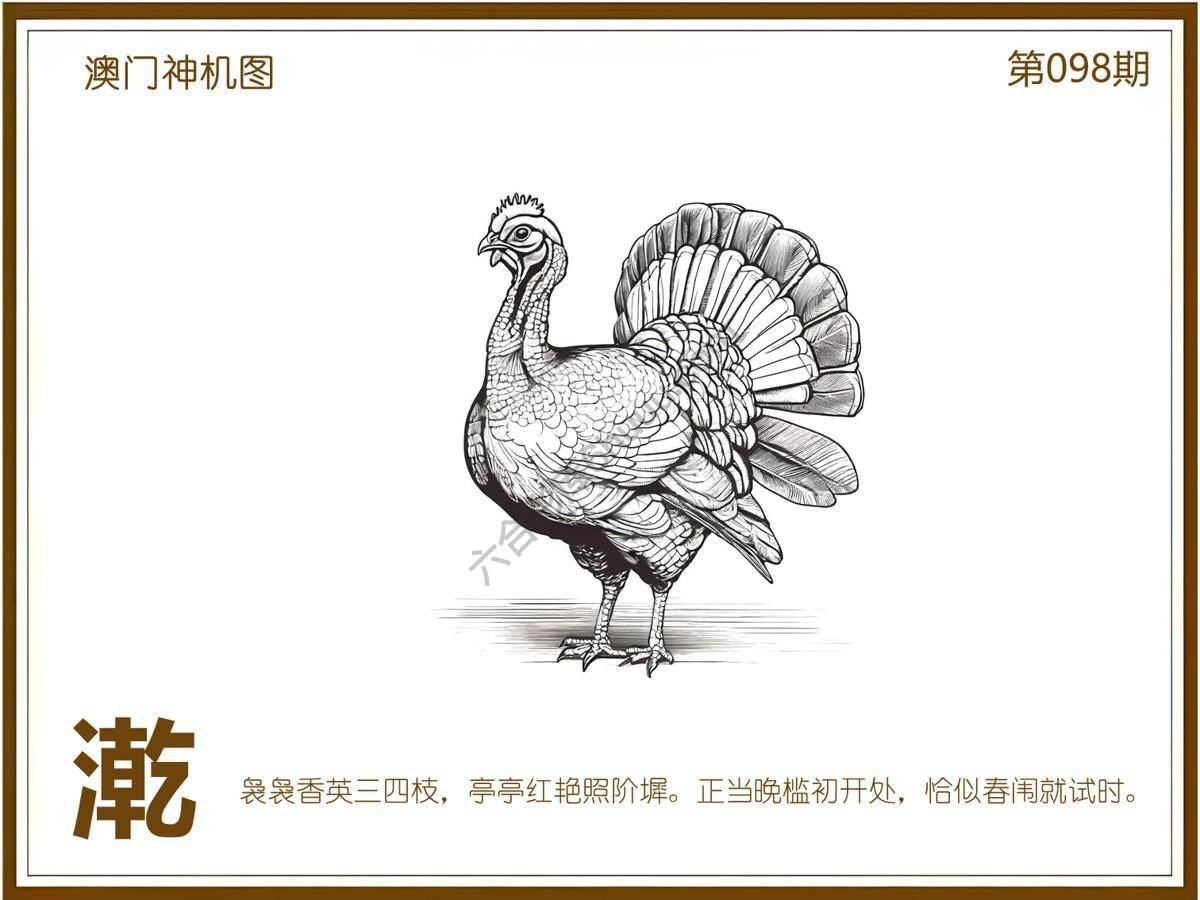 澳门神机图