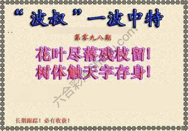 波叔一波中特