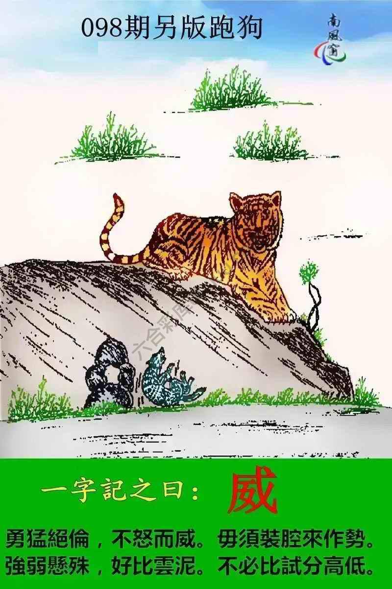 另版跑狗