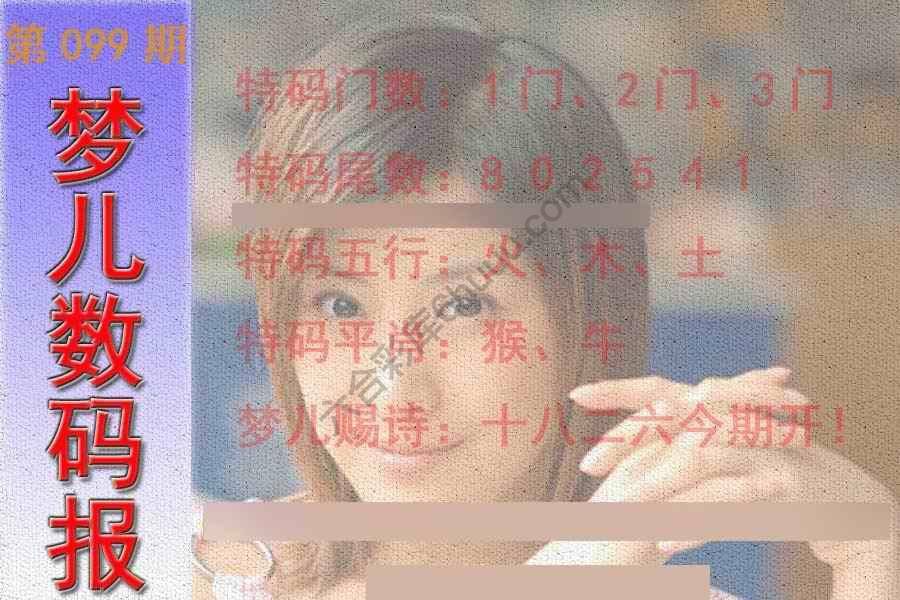 梦儿数码报
