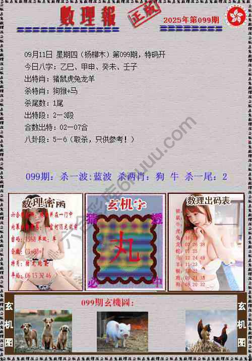 数理报