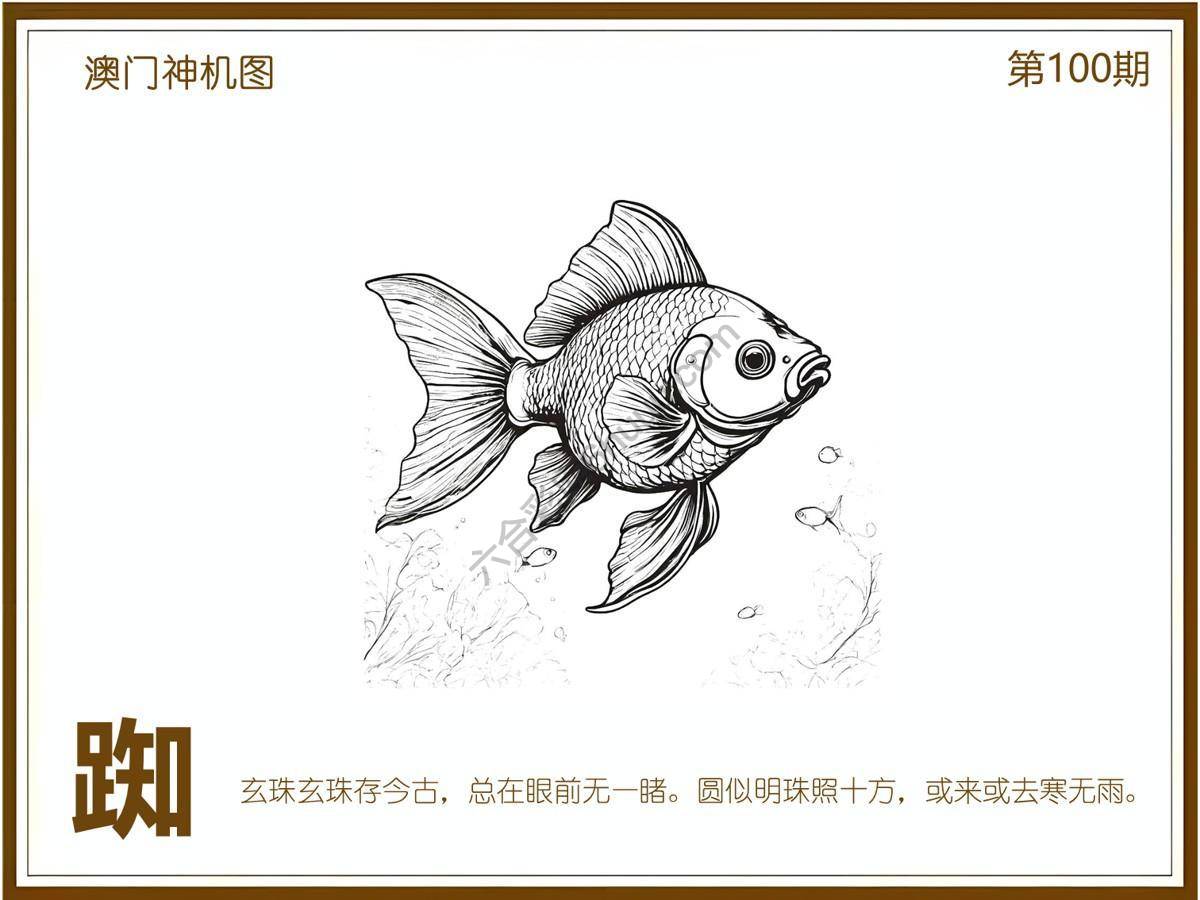 澳门神机图