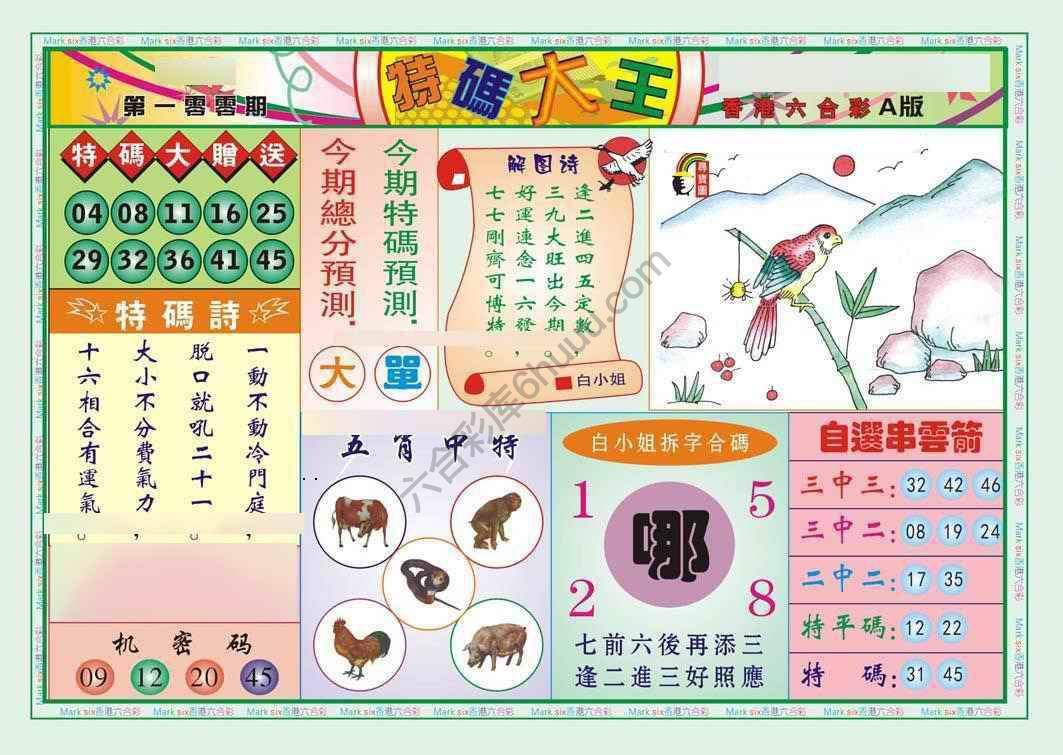 特码大王
