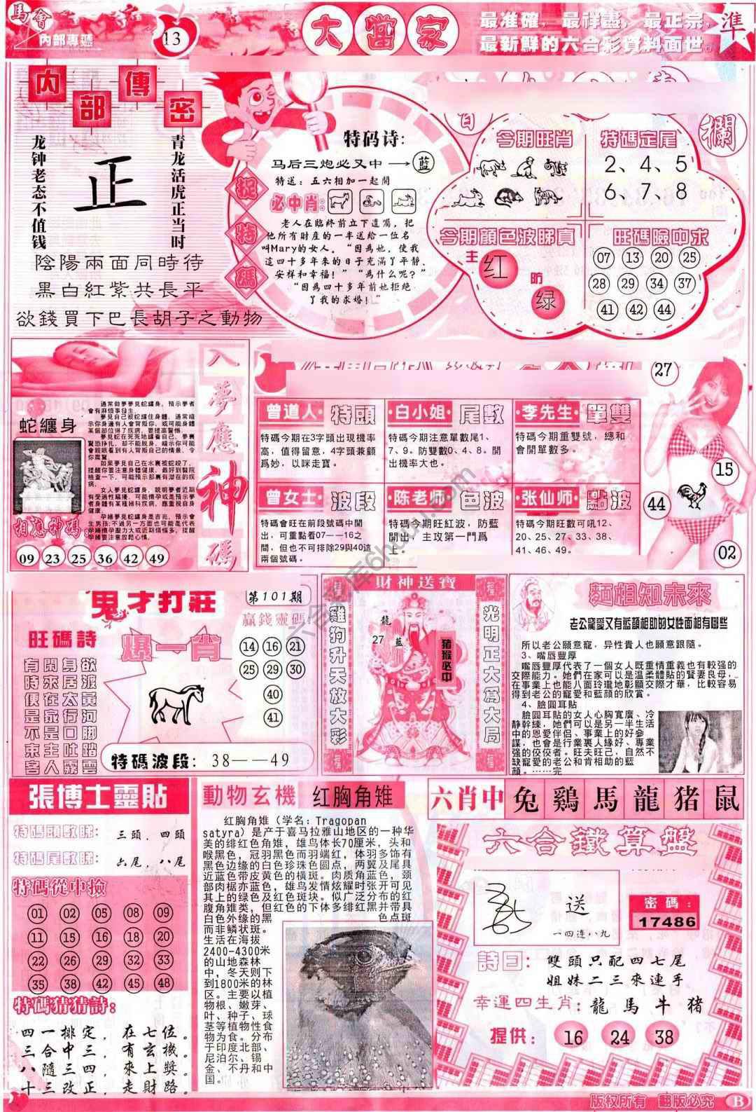 大当家