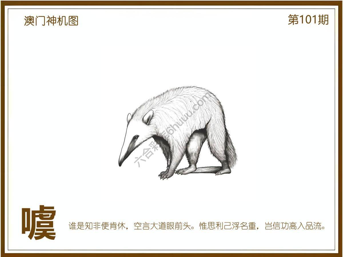 澳门神机图