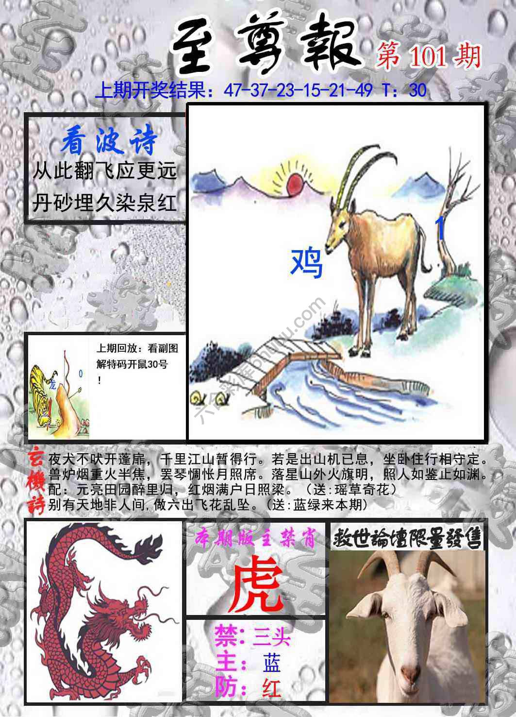 至尊报