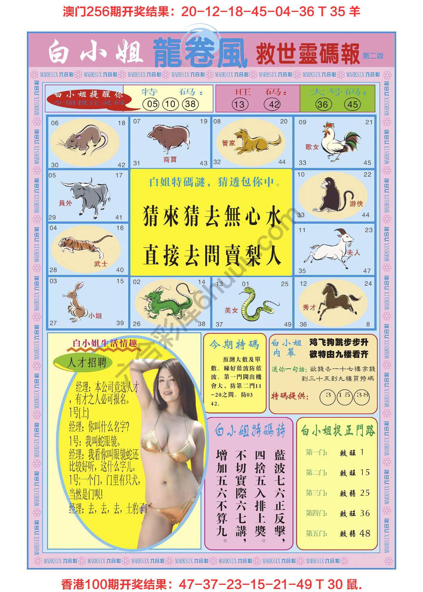 白小姐龙卷风