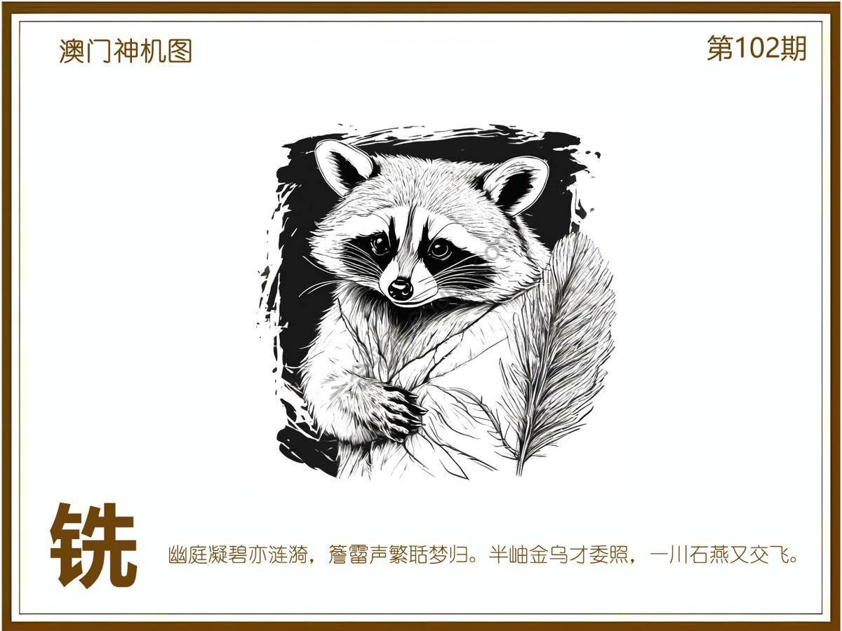 澳门神机图